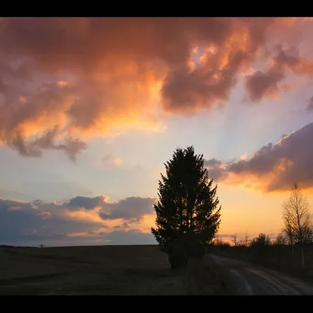 Find With Nr 509 Your In The Harz Mountains *